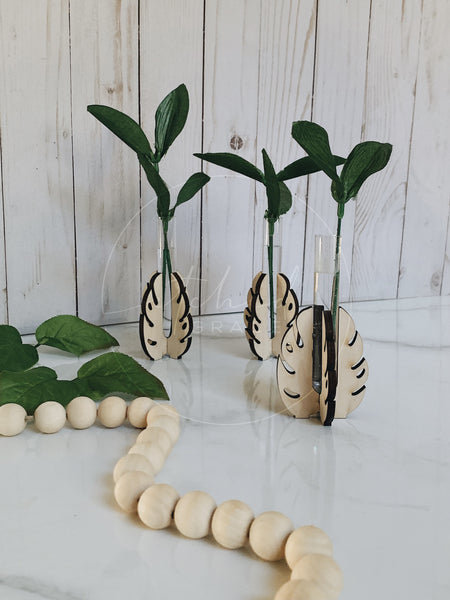 Monstera Leaf Propagation Tube Stand